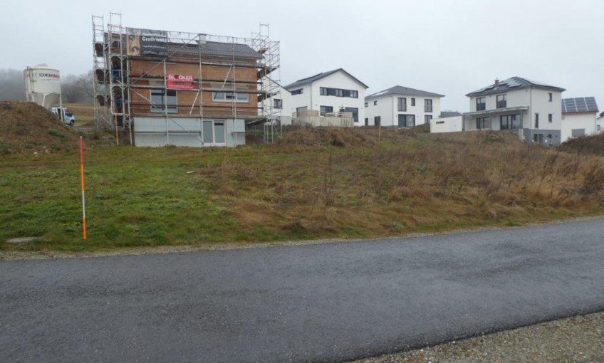 Das Grundstück ist gefunden - schon bald beginnt hier die Bauphase für das Traumhaus Park 181W.